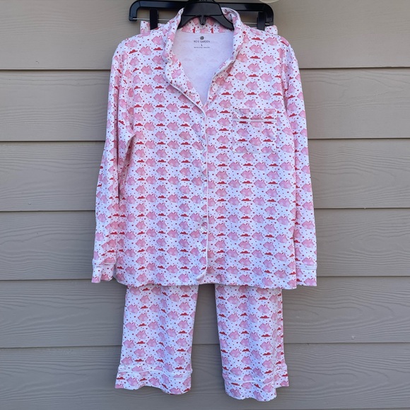 Ro’s Garden Other - Ro's Garden Pigs Fly Pajama Set. Top size L,pants size M